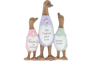 Shudehill Giftware Daisy Message Cute Wooden Duck Ornament - Mum, Nan, Friends, Family and More Sentimental Messages, Gift Ideas For Her (Family)
