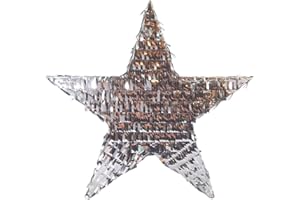 Peacock Supplies - Star Pinata - Silver