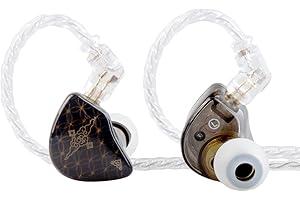 EZ EAR TANGZU Wan'er S.G 10 mm Dynamic Driver HiFi in Ear Monitor Écouteurs avec câble détachable 0,78 2PIN Ajustement Ergonomique pour Musicien de scène Chanteur (Noir, Micro)