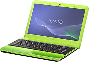 Sony Vaio EA1S1E/G 35,5 cm (14 Zoll) Laptop (Intel Core i3 330M 2,1GHz, 4GB RAM, 500GB HDD, ATI Mobility Radeon HD 5145, DVD, Win 7 HP) gr?n