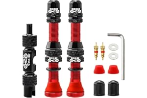 MUQZI Kit de tiges de Valve Schrader sans Chambre à air – Alliage de 60 mm – pour vélo sans Chambre à air – Tige Universelle pour VTT – Valve sans Chambre à air avec Outil de démontage – Options de