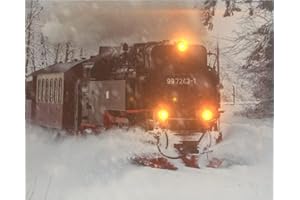 ‎JANDEI JANDEI - Dekoratives Bild mit LEDs (verschiedenen Bilder) (Zug am Schnee 50x40)