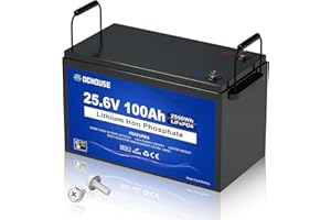 DCHOUSE Batteria al litio 24V 100Ah LiFePO4, BMS con protezione da interruzione per basse temperature, perfetta per motori elettrici, imbarcazioni, camper, e sistemi di accumulo di energia domestici