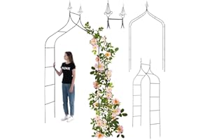 KADAX Arche de jardin pour plantes grimpantes - Arche robuste - Arche à rosiers - Treillis en fer - Pergola résistante aux intempéries - Treillis (fer)