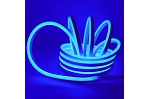 WISADA 220V 2835 Tira LED,Luz de Neón Regulable,120 LEDs/m Tira de LED Flexible con Interruptor de Atenuación Táctil,Lemas de Bricolaje, Símbolo de Anuncios Comerciales, iluminación de Terrazas (1m, Azul)