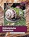 Produktbild Einheimische Schnecken: In der Natur, im Garten und zu Hause (Terrarien-Bibliothek)