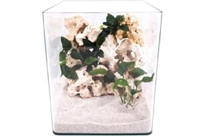 Amtra Technik Nanotank 20 Aquarium Abdeckung Unterlage Cube Becken Glasbecken Glasaquarium Panoramaglas Glas Süßwasser Würfel Cube