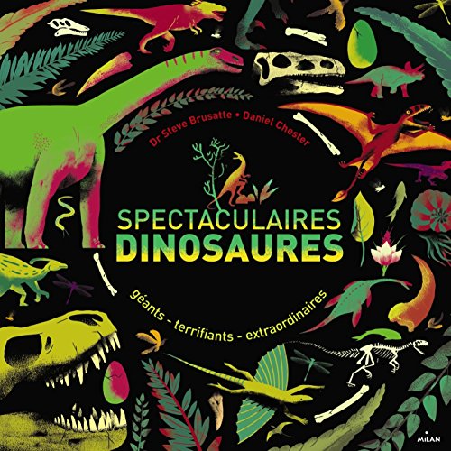 couverture de : Spectaculaires dinosaures