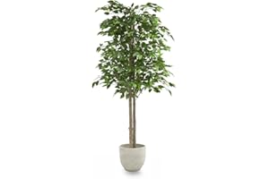 MAIA SHOP Ficus artificiale 150 cm, pianta finta da interno con tronco naturale, albero decorativo realistico per casa ufficio hotel