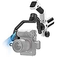 FeiyuTech SCORP Mini 2[Official]3 axis All in One Gimbal Stabilizer for Mirrorless/Action Cameras/Smartphone,Built-in AI Tracker,Native Vertical Shooting,for Sony ZV-E10/Gopro12/iPhone16Pro Max,White