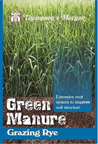 Thompson et Morgan???Engrais vert???Engrais vert p?turage Seigle???80?gram