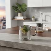 Deconox 250 ml &Ccedil;ift Cidarlı Borosilikat Cam Kupa - Antrasit Detaylı, Dikey &Ccedil;izgili Isıya Dayanıklı Kahve ve &Ccedil;ay Bardağı