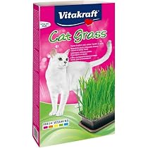 Kit 2 Vasetti Per Erba Gatto - Fioriere Doppio Strato, Grande Capacità, Per Coltivazione Interna O Balcone