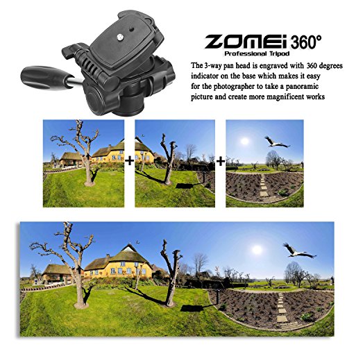 ZOMEi Z666 Tr pied Voyage Pour Appareil Photo Avec Un Sac De Transport Hauteur Maximum 140cm reviews ZOMEi Z666 Tr pied Voyage Pour Appareil Photo Avec Un Sac De Transport Hauteur Maximum 140cm