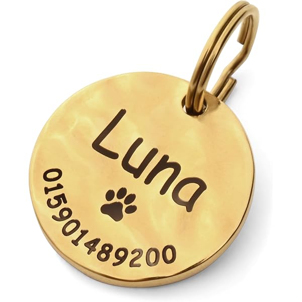Hunde- & Katzen Medaillon Identifikation – Chrom, Wasserdicht, Mit Namensschild Für Halsband