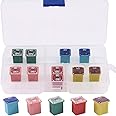 Glarks 10Pcs Automotive Low Profile Box Shaped Mini Jcase Fuse 20A 30A 40A 50A 60A Fuse Assortment Kit for Ford, Chevy/GM, Nissan, and Toyota Pickup Trucks, Cars and SUVs