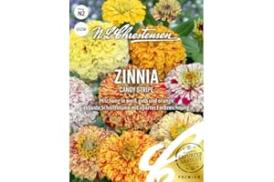Zinnia Candy Stripe, N.L. Chrestensen Blumensamen, Zininen Saatgut, Sommerblumen, Blumen Samen, Blumenwiese für Garten und Balkon
