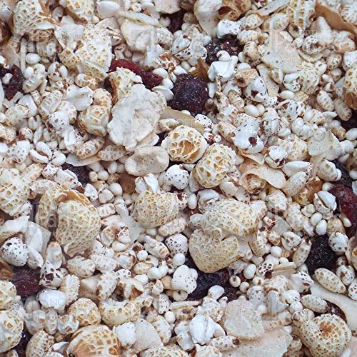 Tidymix Four Puffed Crunch Treat Coconut & Cranberry - 100g