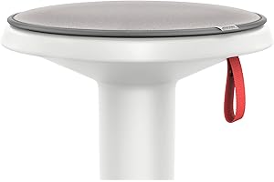 ‎INTERSTUHL Interstuhl UPis1 Premium Sitzkissen - Besonders bequemes Stuhlkissen perfekt geeignet für Hocker, Stühle, Bänke und Fußböden - Perfekt UPis1 Bürohocker (Platingrau)