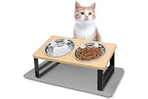 Otauoaea Ciotola per Gatti e Cani Rialzata, 2 Ciotole con Tappetino Antiscivolo, Ciotola Gatto Acciaio Inossidabile Inclinata di 15° Set Ciotole per Acqua, Cani Piccoli e Gattini