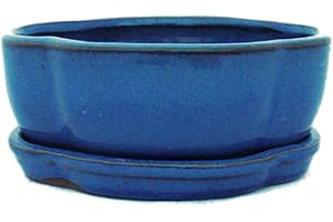 exotenherz - Bol à bonsaï avec soucoupe taille 1 - Bleu - haitang/ovale - Modèle I5 - L 12 cm - l 9,5 cm - H 4,5 cm