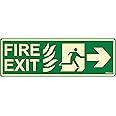 CLICKFORSIGN Glow in Dark Fire Exit Signboard right Arrow, 300 x 100 mm Pack of 4