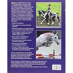 Postura y rendimiento