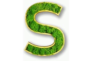 ‎MOOSLY Moosly® Moosbild - S - mit Rahmen aus Holz, Moos Deko Buchstaben Zeichen Symbol Holzbuchstabe mit echtem Islandmoos Wandtattoo Wandsticker Wandbild selbstklebend Wohnzimmer (120 S)