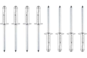 AOMHREK 100 Stück Spreiznieten 4,8 x 16 mm Nieten Set für Holz-Metall, Popnieten, Blindnieten Set für vielseitige Anwendungen