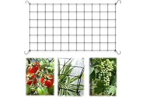 NHQZRed para plantas trepadoras, 1 unidad de 60 x 120 cm, red reforzada con 4 ganchos extraíbles, enrejado de látex extensible para tomates, uvas, frutas y verduras, estacas de soporte para jardín