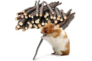 Cutiolly Juguetes Masticar para Conejos,40pcs Palitos de Madera de Manzana,Juguetes Masticars para Hámster,Palitos para Masticar Manzana,para Chinchilla Conejillo de Indias Hámster