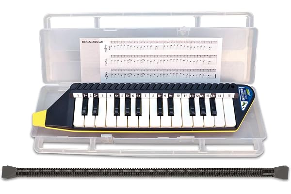 Bontempi - 33 4262 – Mélodica 25 Touches avec Son Étui, 334262, Blanc; Noir