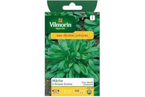 Vilmorin - Paquete Semillas Canónigo Gran Semillas