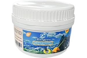 Eithergreen COMPACT Disgregante elimina odori per acque reflue per WC portatili, toilette da campeggio, bagno chimico. Sanificante disgorgante per acque nere - 15 bustine da 15g