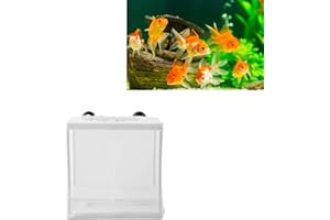 Zetiling Fish Breeding Box, Fish Incubator Mesh, Fish Isolation Box, Plastic Frame White Isolation Mesh Box with Suction Cup Multifunctional Aquarium Tank Accessory Ideal for Fish Breeder
