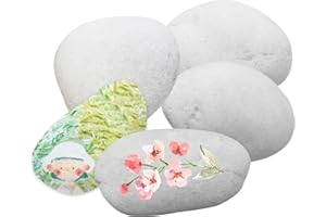 LongZYU 5 Pcs 4-6 cm White Painting Pebbles Painting Stones Rock Painting Pebbles Kit Smooth Pebbles Natural River Stone for Painting Rocks for Arts Crafts Garden Decoration
