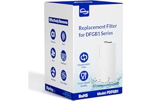 iSpring FDFGB1 Cartuccia di Ricambio per Filtro dell'Acqua del Rubinetto DFGB1S/DFGB1W, Sostituzione del Carbone Attivo, Riduce Cloro, Odori e Cattivo Gusto