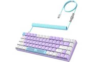 YINDIAO T8 Tastiera da Gioco Meccanica al 60%,68 Tasti TKL Mini Tastiera Cablata con Layout Compatto,18 RGB Baklit,Interruttore Blu,Anti-ghosting,Cavo USB-C a Spirale Pro,per PC,Mac,PS4,XBOX -Lavanda