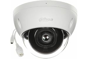 Dahua - Caméra IP Externe WizSense à dôme IR à focale Fixe 5MP Starlight WDR IK10 Audio IPC-HDBW2541E-S
