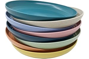 WANBY Servizio Piatti in Plastica Leggeri Grandi Indistruttibili per Cena Riutilizzabili e non Tossina Lavastoviglie e Forno a Microonde Sicuri e Sani per Bambini e Adulti (25cm 8 Pezzi)
