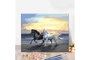 ‎YFWUQI YFWUQI Malen Nach Zahlen Set Erwachsene Kinder Pferd, Zimmer Deko Malen Nach Zahlen ab 7-14 Jahre Teenager Mädchen Jungen