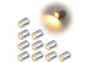 JOYNINE 10 pcs Mini Luci LED a Batteria, LED Decorative per Modello in Miniatura, Lucine LED Decorative Adatto per Natale San Valentino Ringraziamento Modelli Artigianali Fai-Da-Te (Luce Bianca Calda)