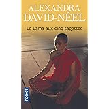 Amazon Fr Niger La Magie D Un Fleuve Sellato Eric Livres