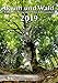 Baum und Wald 2019: Ein Spaziergang durch die Jahreszeiten by