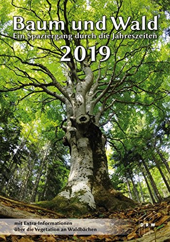 Baum und Wald 2019: Ein Spaziergang durch die Jahreszeiten