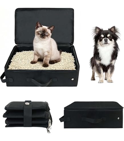 9 tips om de perfecte katten transportbox te vinden