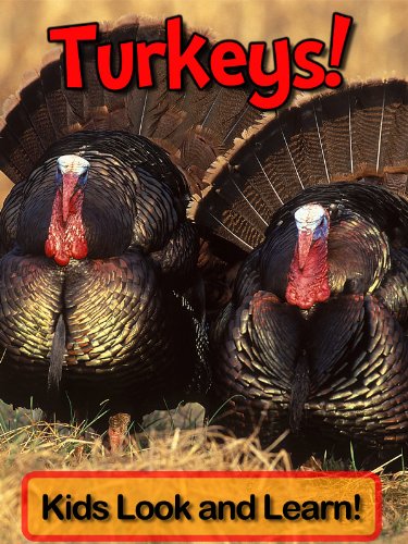 Turkeys! Learn About Turkeys and Enjoy Colorful Pictures - Look and Learn! (50+ Photos of Turkeys) (English Edition) livre