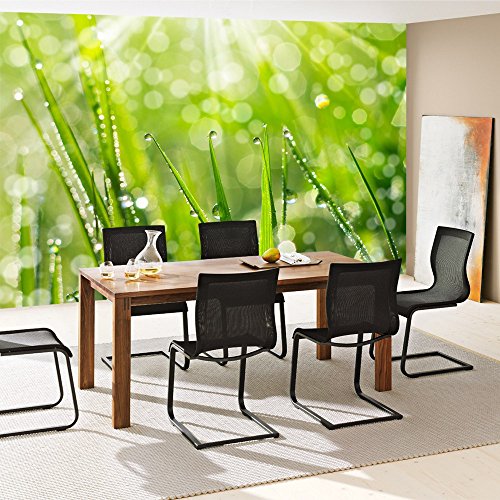 Vlies Fototapete PREMIUM PLUS Wand Foto Tapete Wand Bild Vliestapete – Blumen Blüte Natur – no. 199 Natur Gras Wiese Halm Sonne, Größe:350x245cm Vlies - 5