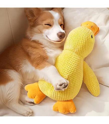 Comforso Plüsch Hundespielzeug 2025 - Quietschendes Kauspielzeug Mit Tierdesign, Waschbar Für Mittelgroße Hunde