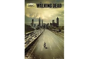 CLOSE UP Poster The Walking Dead Dead City - Saison 1 (61cm x 91,5cm)